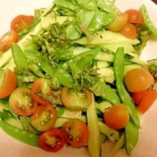 旬の野菜サラダ♪　7月